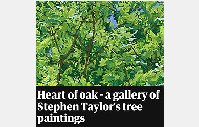 Guardian: Gallery feature